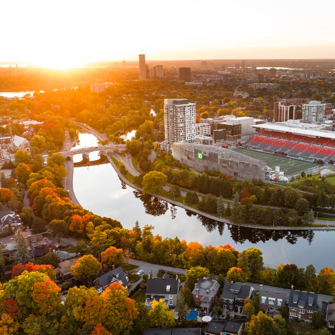 The Glebe